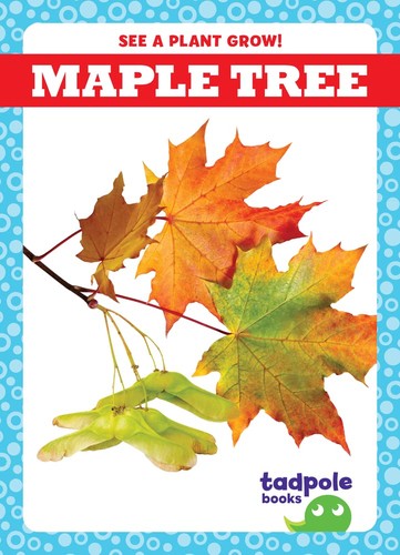 Cover for Maple Tree
