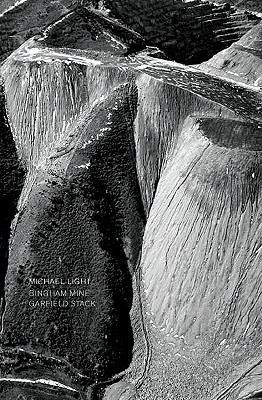 Cover for Bingham Minegarfield Stack