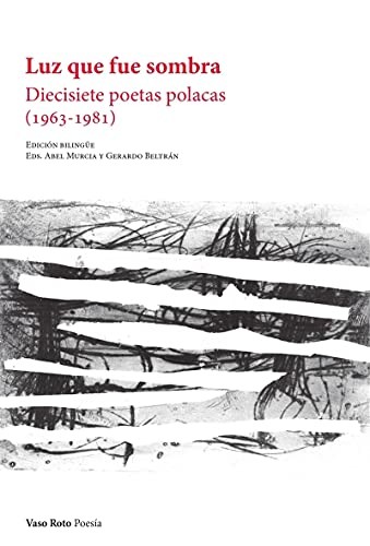 Cover for Luz que fue sombra