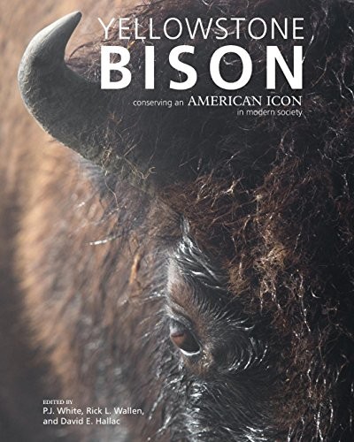 Cover for Yellowstone Bison