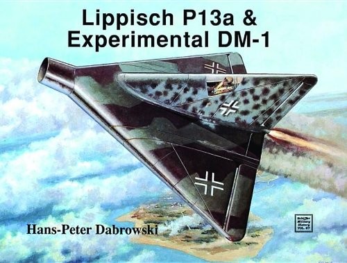 Cover for Lippisch P13a & experimental DM-1