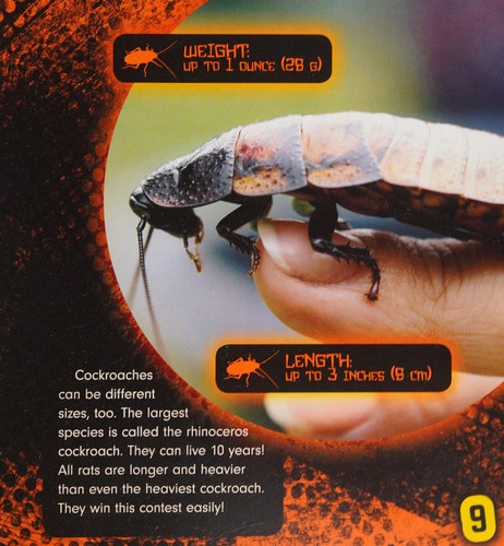 Cover for Rat vs. cockroach