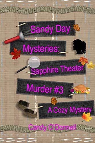 Cover for Sandy Day Mystery