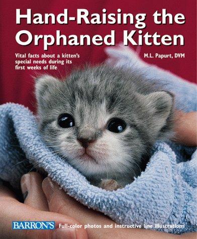 Cover for Hand-raising the orphaned kitten