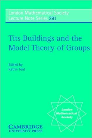 Cover for Tits Buildings and the Model Theory of Groups