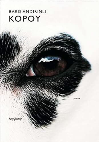 Cover for Kopoy