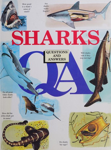 Cover for Sharks (Questions & Answers)