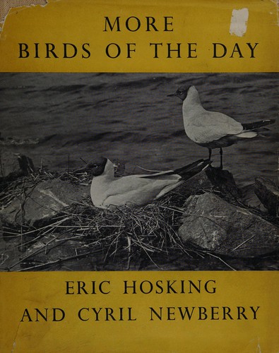 Cover for More Birds of the day