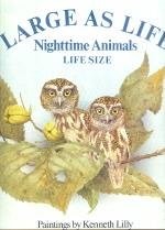 Cover for Nighttime Animals