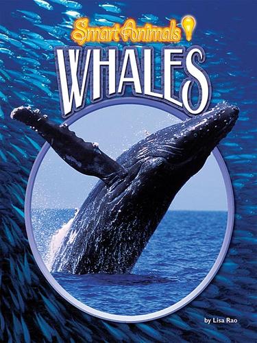 Cover for Whales
