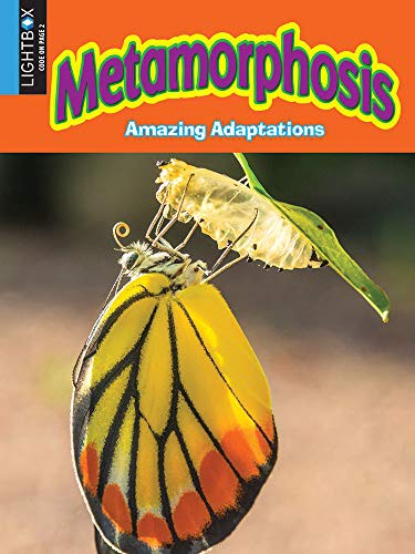 Cover for Metamorphosis