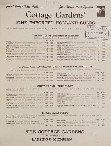 Cover for Fine imported Holland bulbs