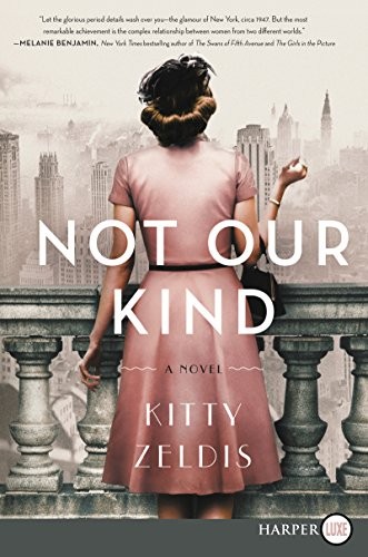 Cover for Not Our Kind
