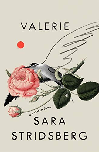 Cover for Valerie : or, The Faculty of Dreams