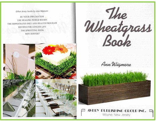 Cover for The wheatgrass book