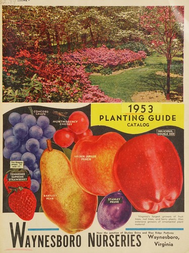 Cover for 1953 planting guide, catalog