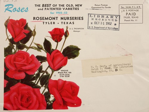 Cover for Roses