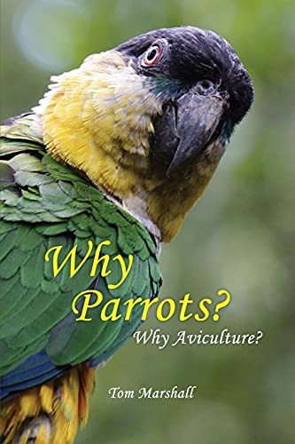 Cover for Why Parrots?