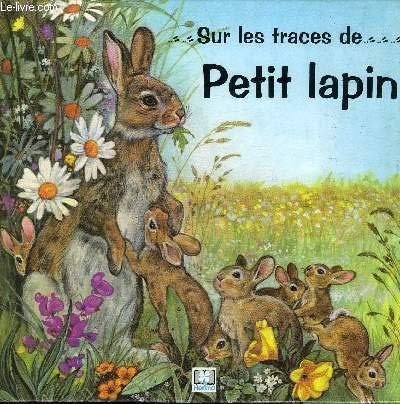 Cover for Petit lapin