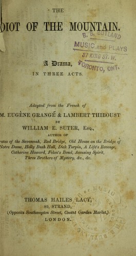 Cover for The idiot of the mountain