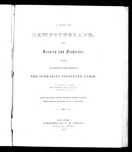 Cover for A trip to Newfoundland