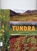 Cover for Tundra