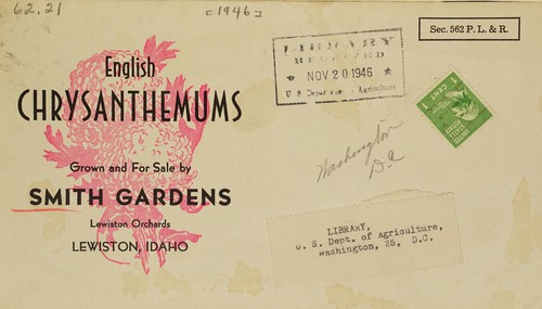 Cover for English chrysanthemums