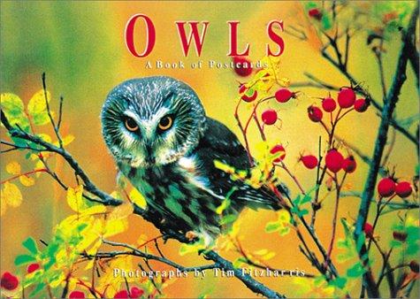 Cover for Owls