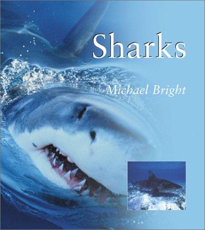 Cover for SHARKS