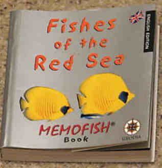 Cover for Fishes of the Red Sea