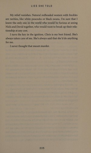 Cover for Lies she told