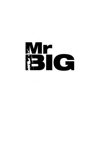 Cover for Mr. Big