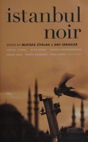 Cover for Istanbul noir
