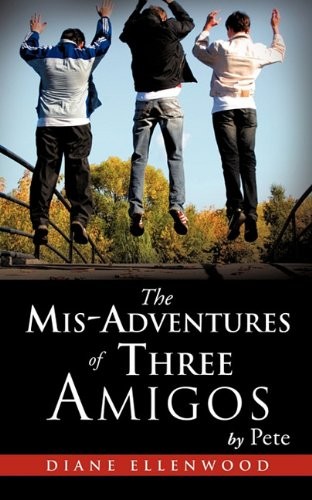 Cover for The MIS-Adventures of Three Amigos
