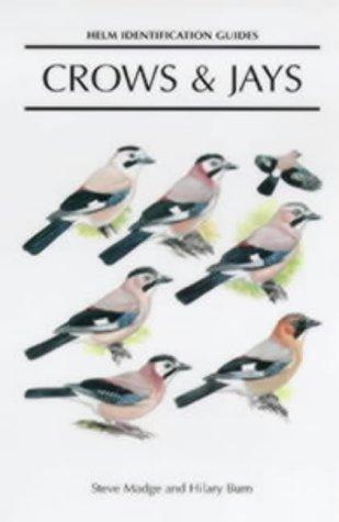 Cover for Crows and Jays (Helm Identification Guides)