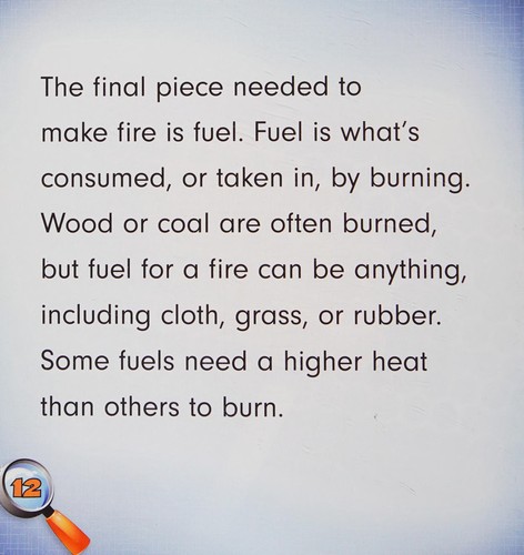 Cover for What makes fire burn?