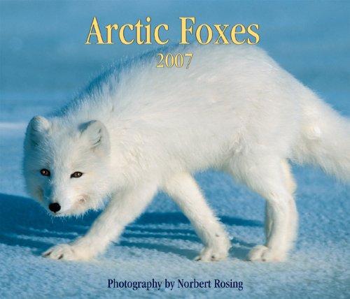 Cover for Arctic Foxes 2007 (Calendar)