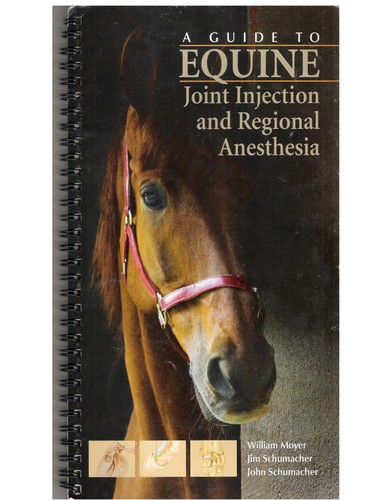 Cover for A Guide to Equine Joint Injection and Regional Anesthesia