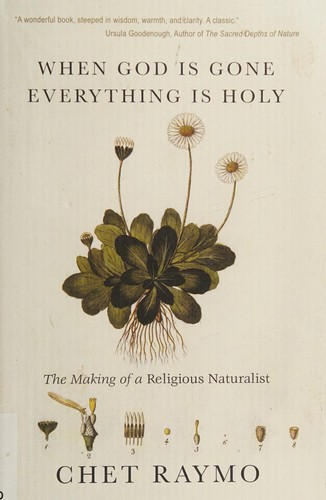 Cover for When God is gone everything is holy