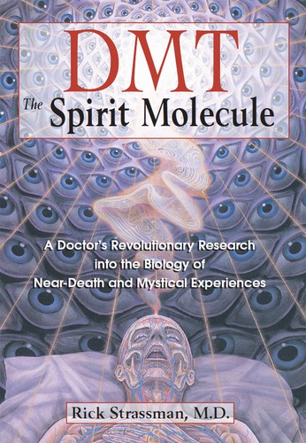 Cover for DMT : the Spirit Molecule
