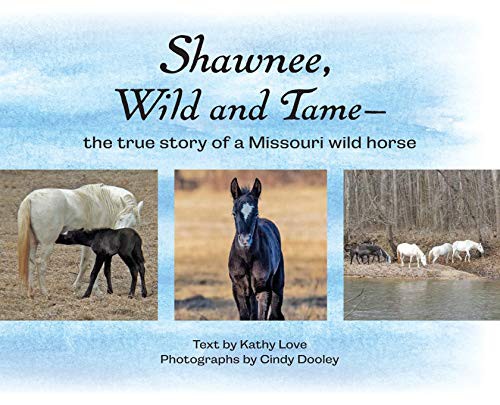 Cover for Shawnee, Wild and Tame