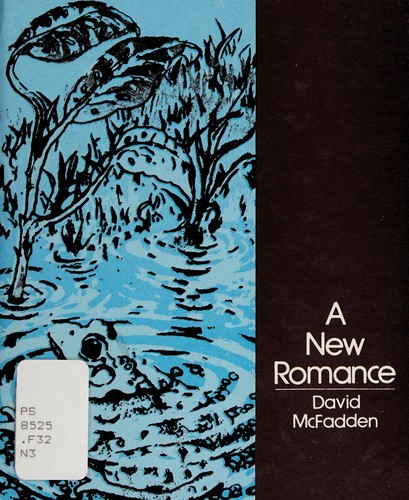 Cover for A New Romance
