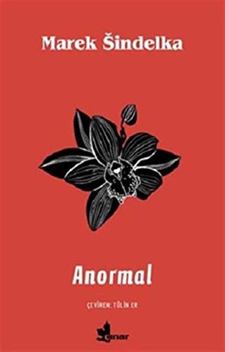Cover for Anormal