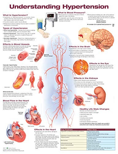 Cover for Understanding Hypertension