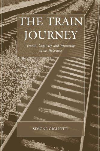 Cover for The train journey