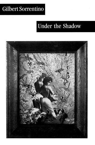 Cover for Under the shadow
