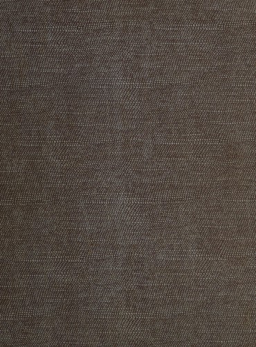 Cover for The Temple scroll