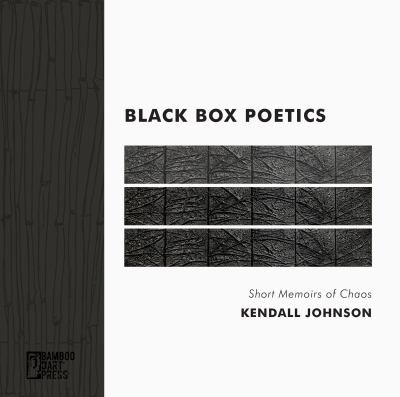 Cover for Black Box Poetics
