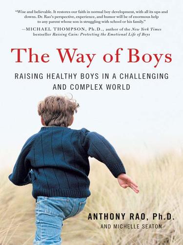 Cover for The Way of Boys