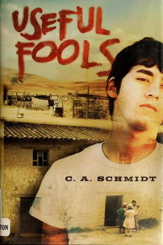 Cover for Useful fools